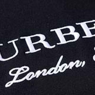 cheap burberry hoodies cheap no. 24